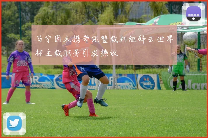 马宁因未携带完整裁判组辞去世界杯主裁职务引发热议